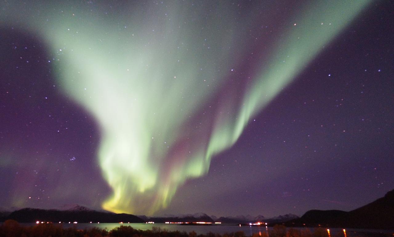 Toftenes Sjohuscamping Alsvåg Екстериор снимка