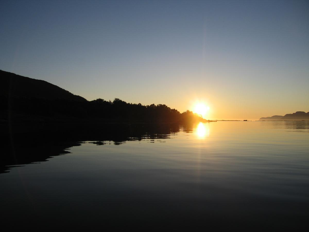 Toftenes Sjohuscamping Alsvåg Екстериор снимка